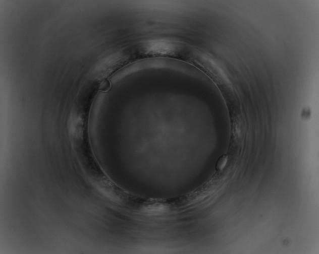 X0000102480551200808081307