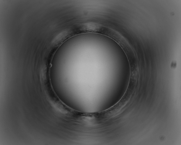 X0000102480552200808081308
