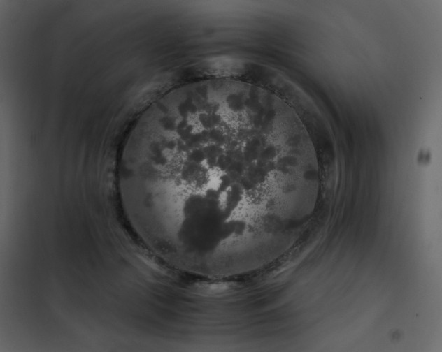 X0000102480553200808081308