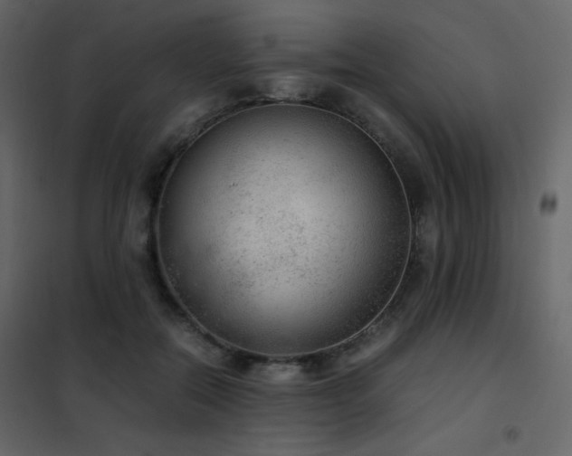 X0000102480554200808081308