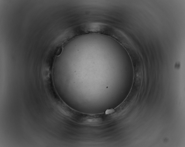 X0000102480555200808081308