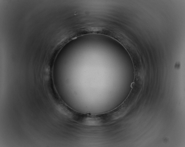 X0000102480556200808081308