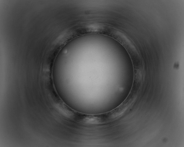 X0000102480557200808081308