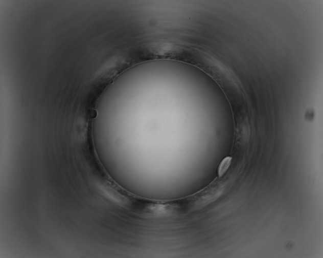 X0000102480558200808081308
