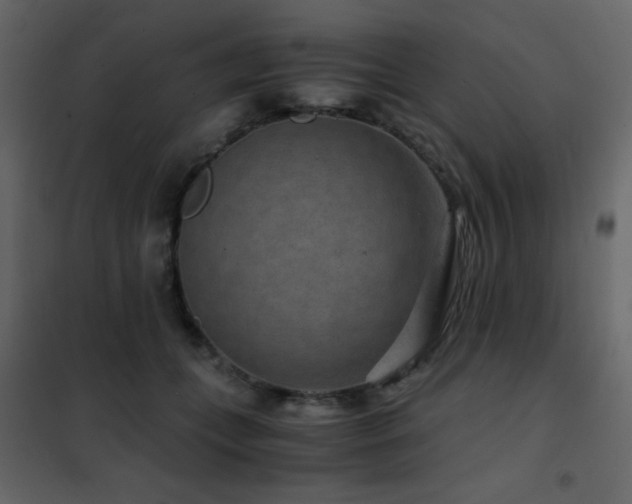 X0000102480559200808081308