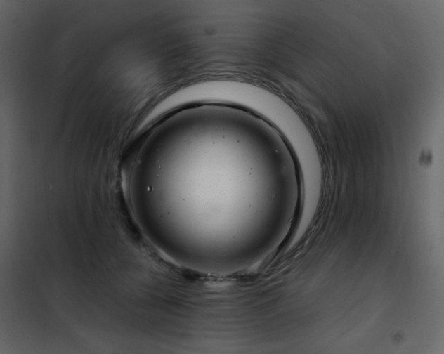 X0000102480560200808081308