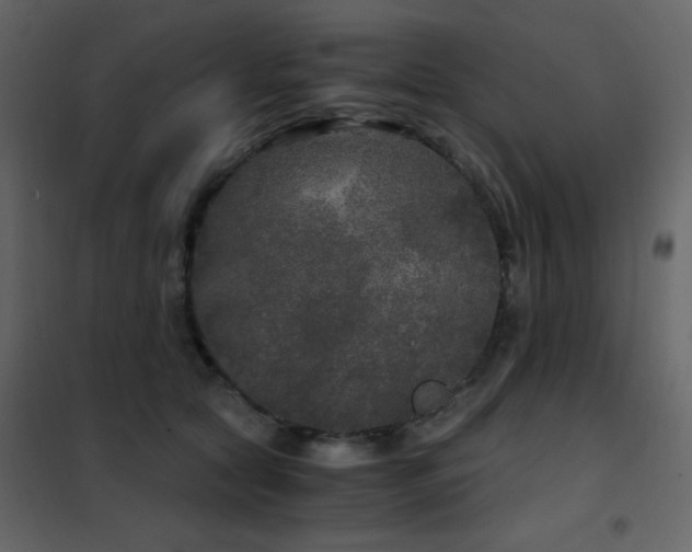 X0000102480561200808081308