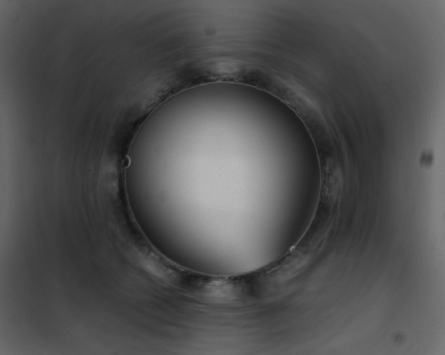 X0000102480562200808081308