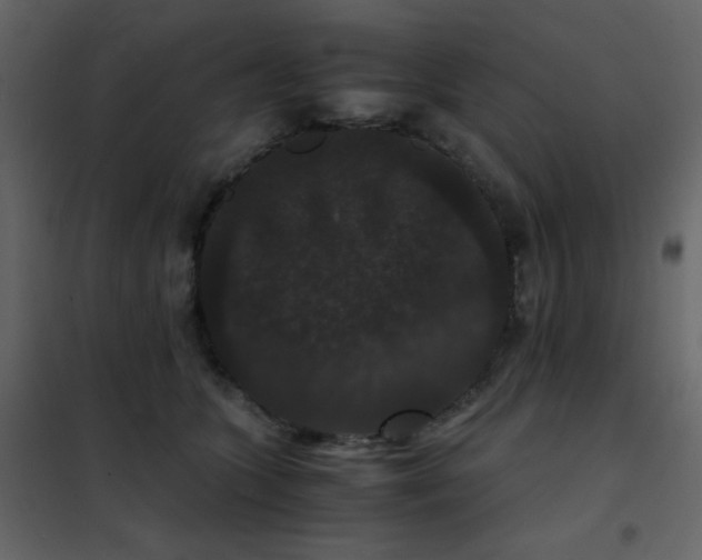 X0000102480563200808081308