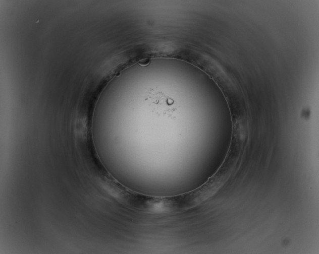 X0000102480564200808081308