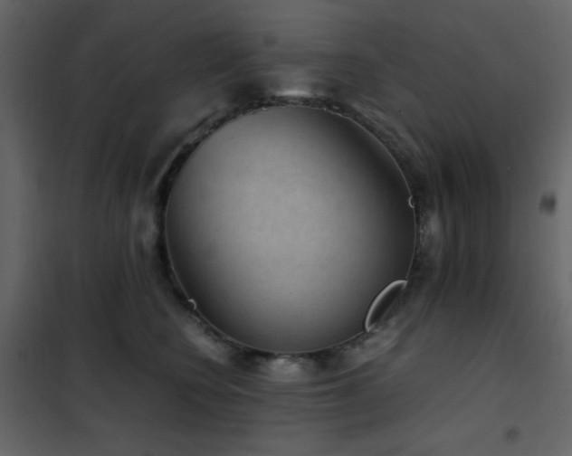 X0000102480566200808081308
