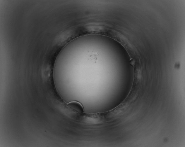 X0000102480567200808081308