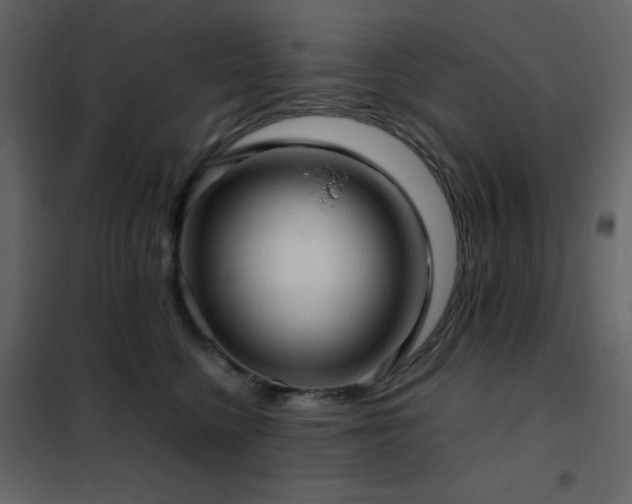 X0000102480568200808081308