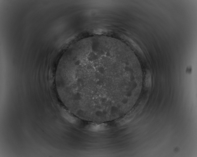X0000102480569200808081308