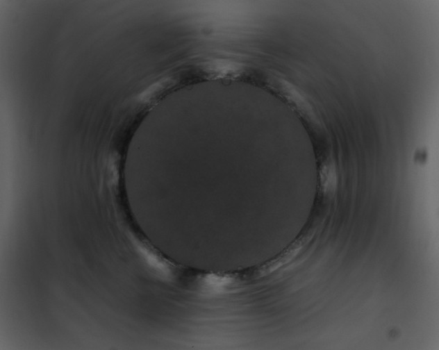 X0000102480570200808081308