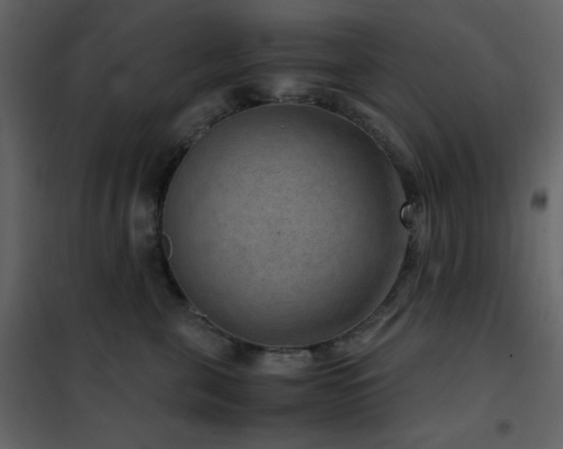 X0000102480571200808081308