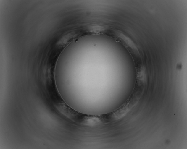 X0000102480572200808081308