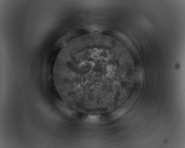 X0000102480573200808081308