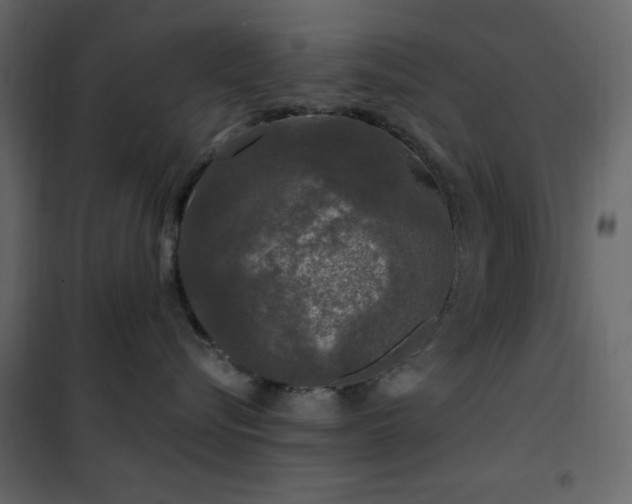 X0000102480576200808081308