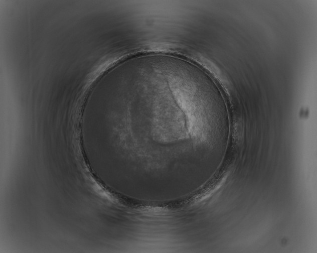 X0000102480577200808081307
