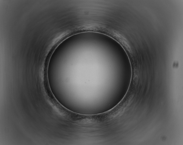 X0000102480578200808081307