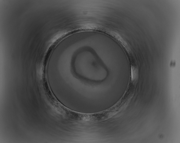 X0000102480579200808081307