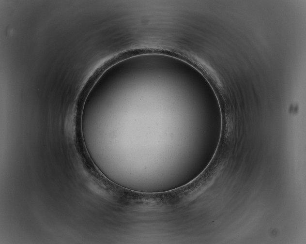 X0000102480580200808081307