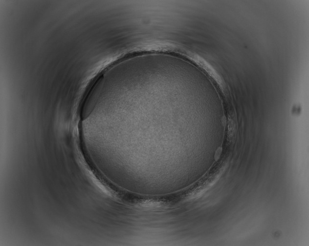 X0000102480581200808081307