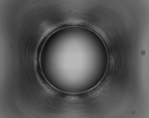X0000102480582200808081307