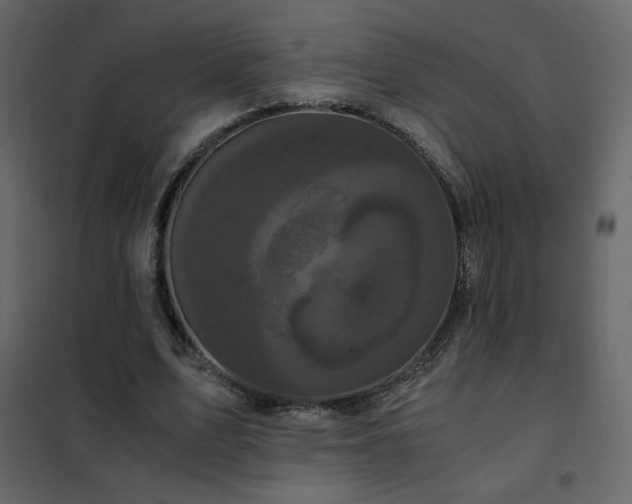 X0000102480583200808081307