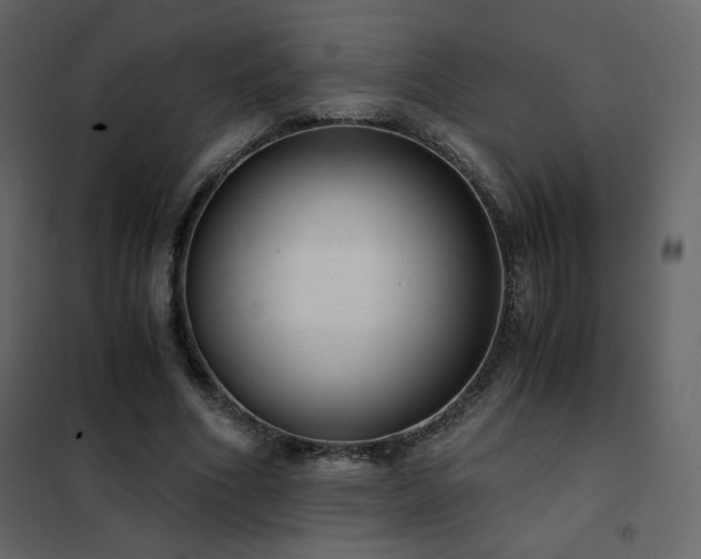 X0000102480586200808081307