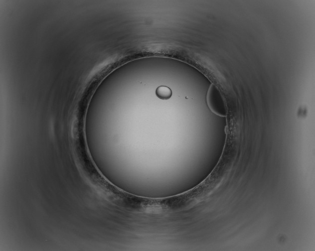 X0000102480587200808081307