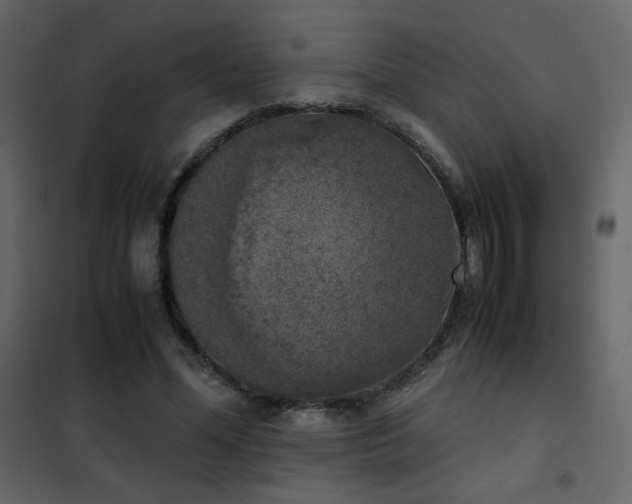 X0000102480588200808081307