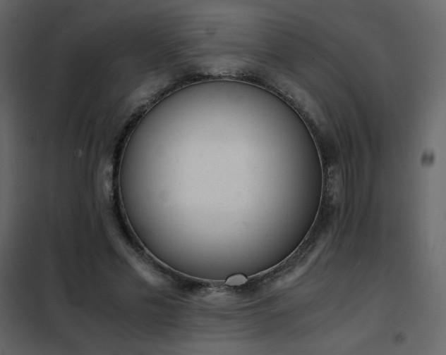 X0000102480589200808081307