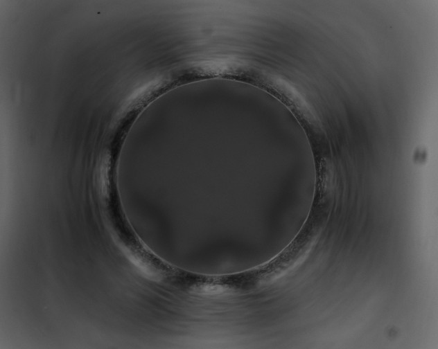 X0000102480590200808081307