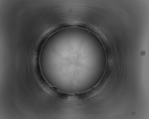 X0000102480591200808081307