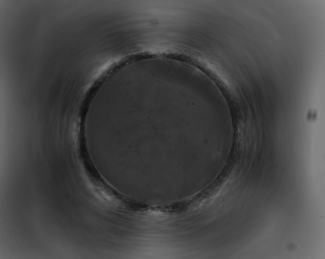 X0000102480592200808081307