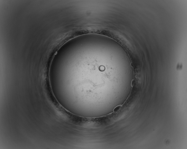 X0000102480593200808081307
