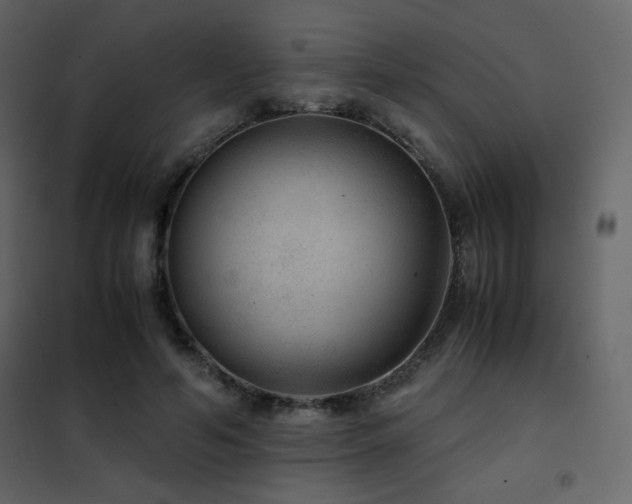 X0000102480594200808081307