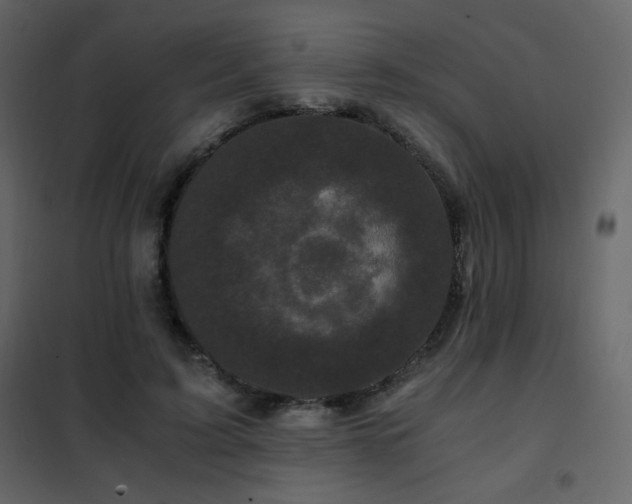 X0000102480595200808081307