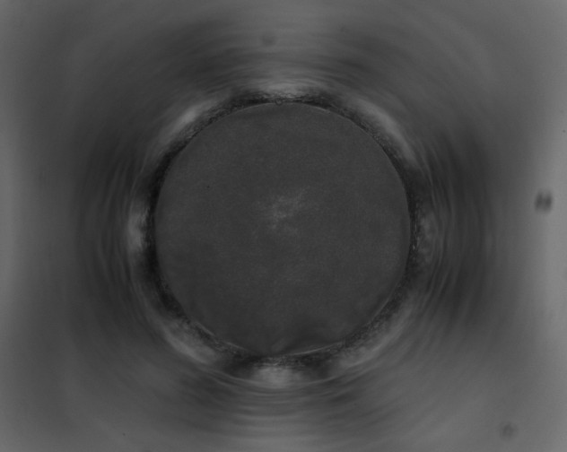 X0000102480596200808081307