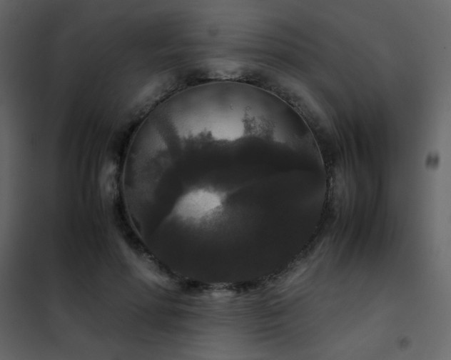 X0000102480598200808081307