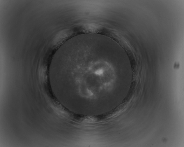 X0000102480599200808081307