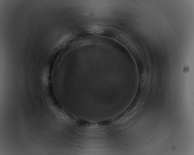 X0000102480600200808081307