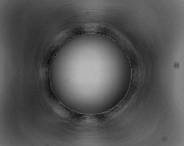 X0000102480601200808081307