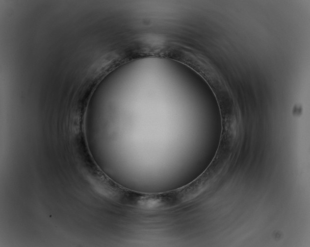 X0000102480602200808081307