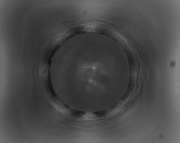X0000102480603200808081307