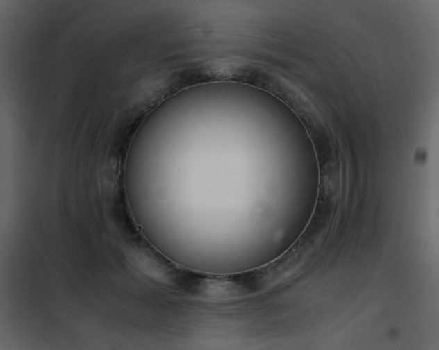 X0000102480605200808081307