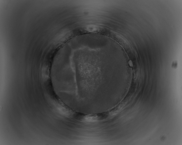 X0000102480606200808081307