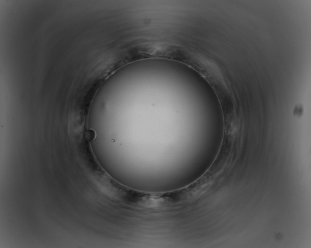 X0000102480607200808081307